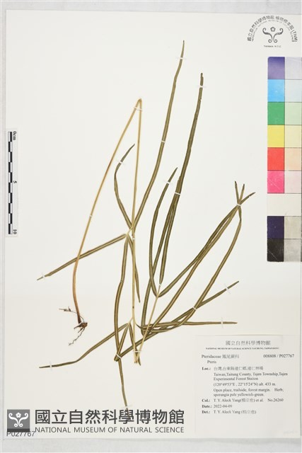 登錄號:P027767藏品圖，第1張