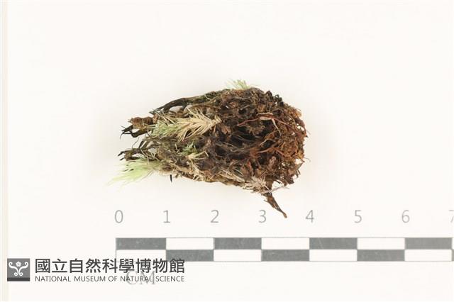 登錄號:A00008138藏品圖，第1張