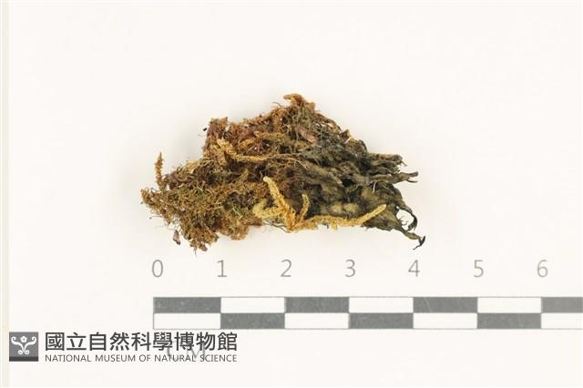 登錄號:A00008137藏品圖，第1張