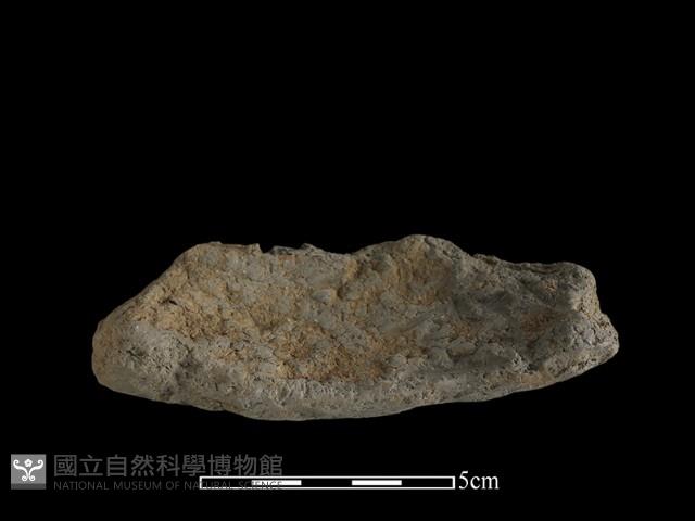 陶片藏品圖，第1張