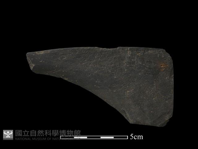 石鐮藏品圖，第2張