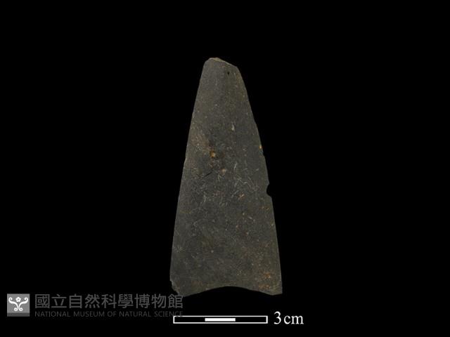 矛鏃形器藏品圖，第2張