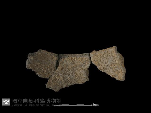 陶片藏品圖，第1張