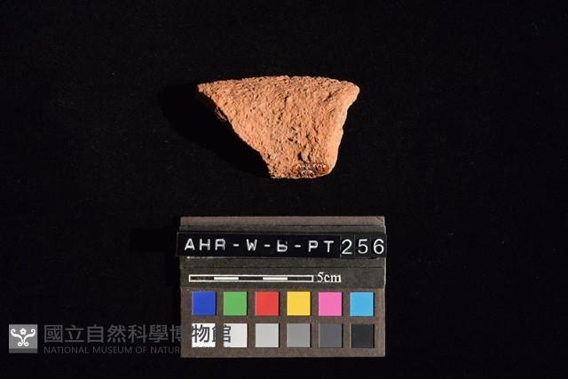 陶罐藏品圖，第3張