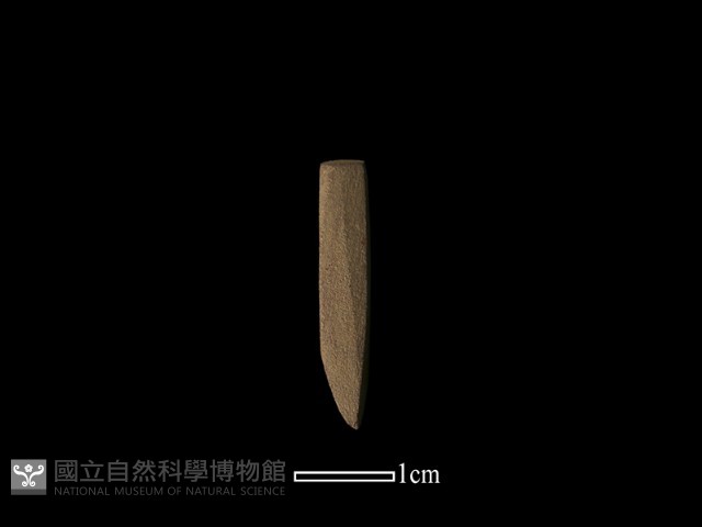 錛鑿形器藏品圖，第1張