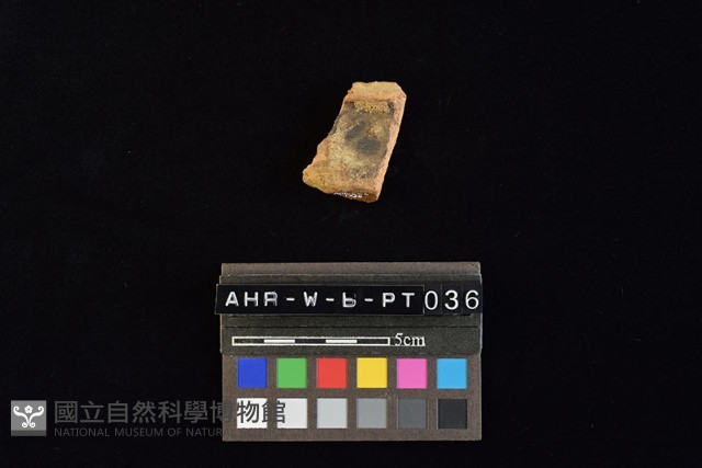 陶罐藏品圖，第2張