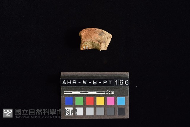 陶把藏品圖，第2張