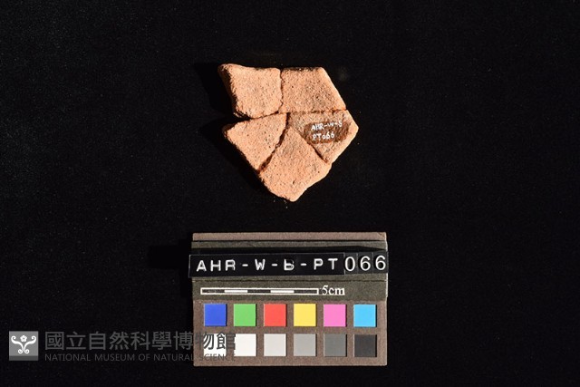 陶片藏品圖，第3張