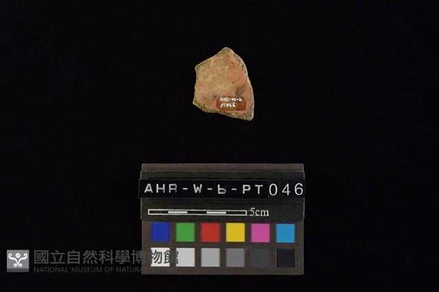 陶片藏品圖，第2張