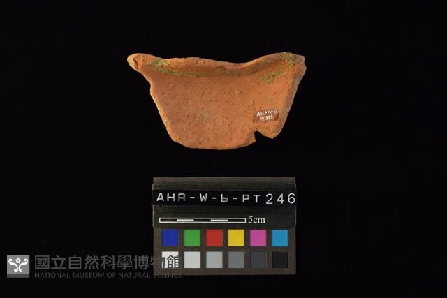 陶片藏品圖，第1張