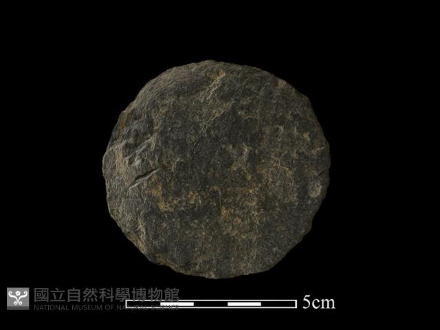 圓板形石器藏品圖，第1張