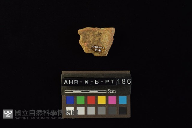 陶片藏品圖，第3張