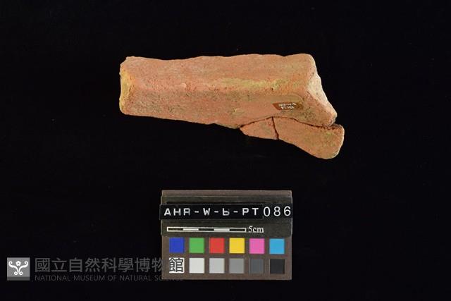 Accession Number:AHR-W-b-PT086 Collection Image, Figure 2, Total 4 Figures