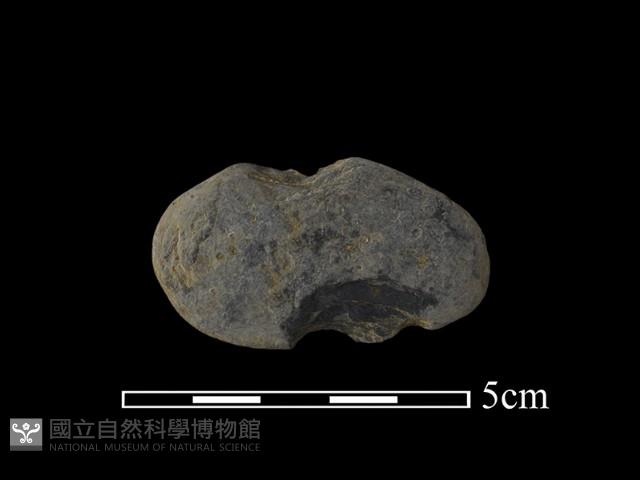 網墜藏品圖，第2張