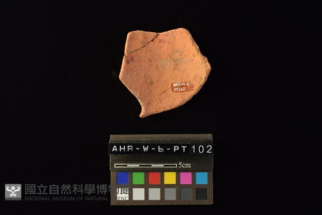 陶片藏品圖，第3張