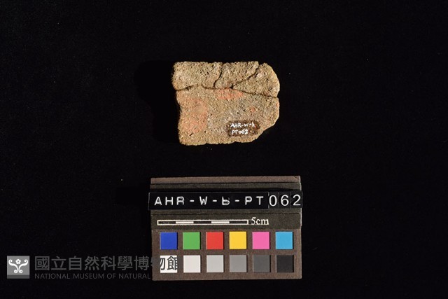 陶片藏品圖，第1張