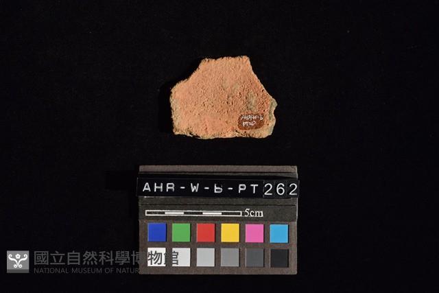 陶片藏品圖，第3張