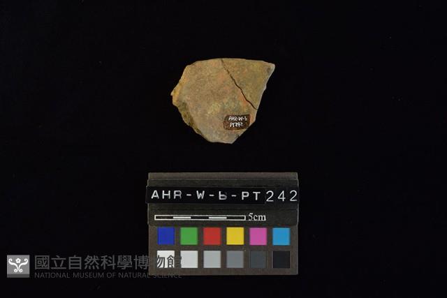 陶片藏品圖，第2張