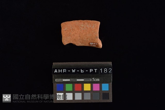 陶片藏品圖，第3張