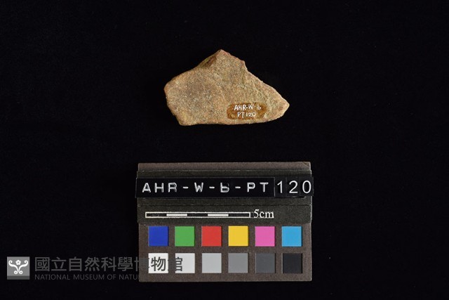 陶片藏品圖，第2張