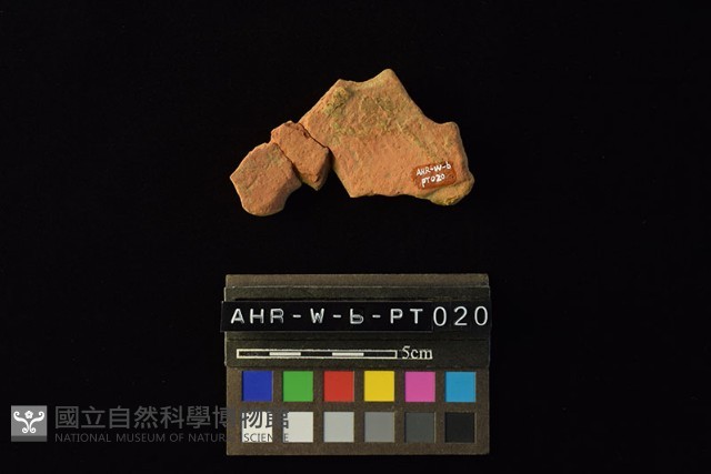陶片藏品圖，第3張