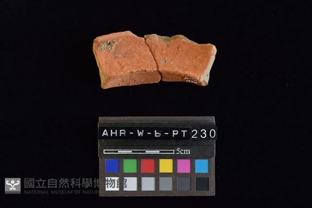 陶罐藏品圖，第3張