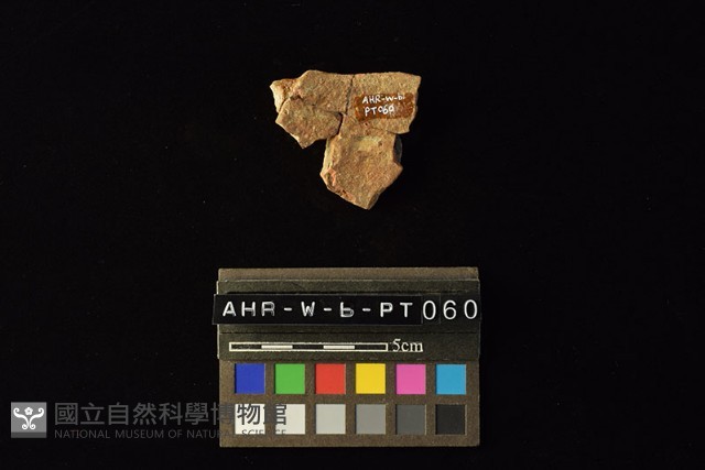 陶罐藏品圖，第2張