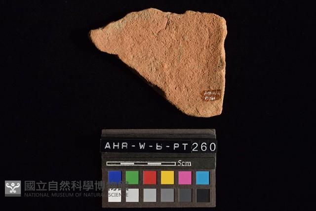 陶片藏品圖，第2張