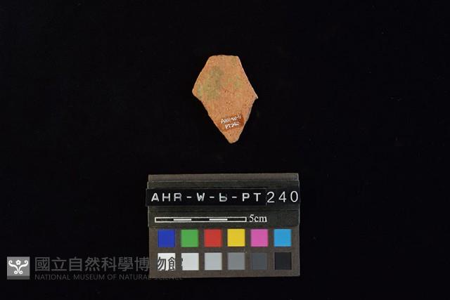 陶片藏品圖，第2張