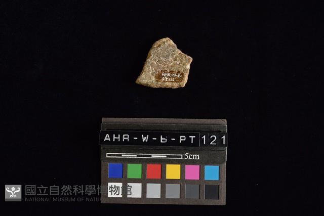 陶片藏品圖，第1張