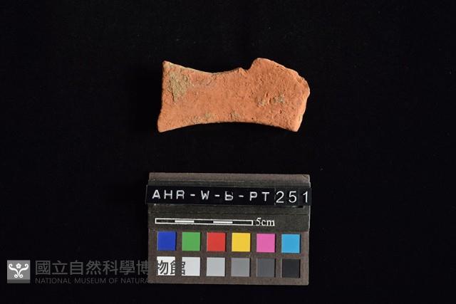 連杯形器藏品圖，第2張