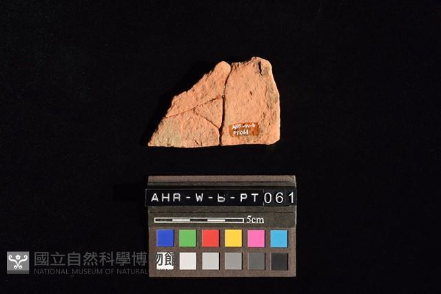 連杯形器藏品圖，第2張