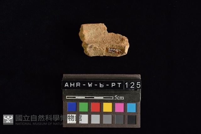 陶罐藏品圖，第3張