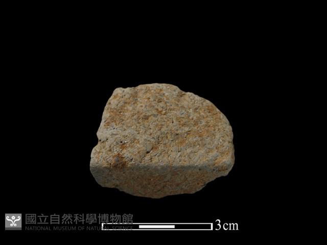 陶片藏品圖，第1張