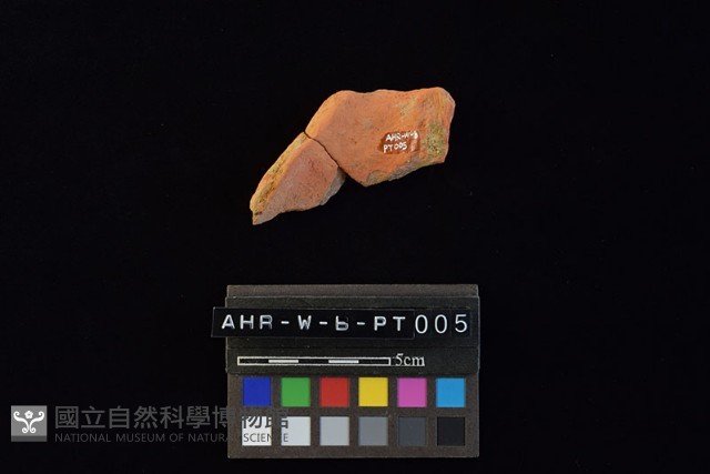 陶片藏品圖，第2張