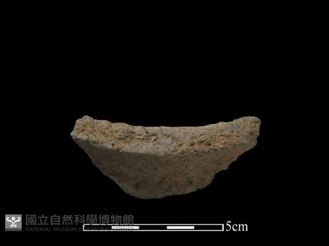 陶片藏品圖，第1張