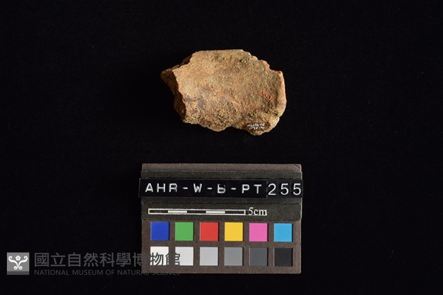 陶罐藏品圖，第3張