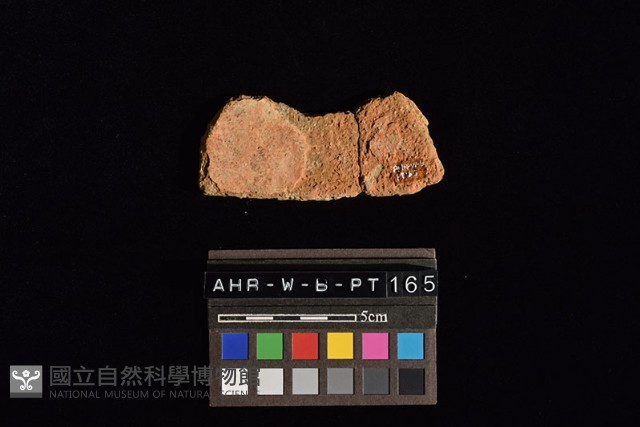 陶片藏品圖，第1張
