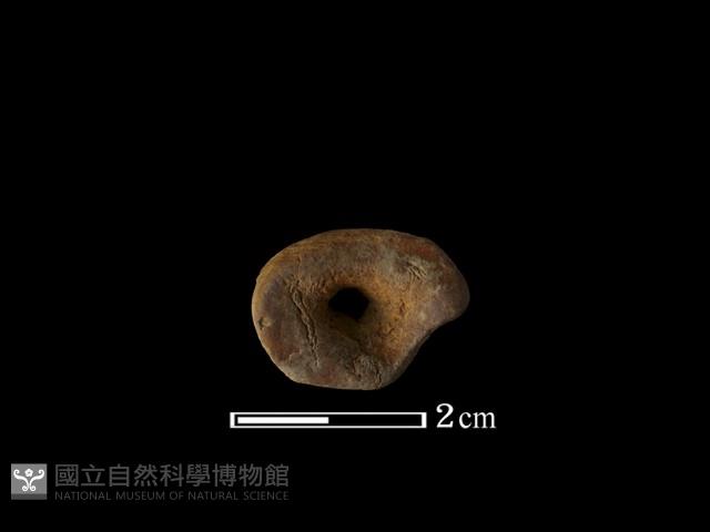 Accession Number:PTT-2011-0565 Collection Image, Figure 3, Total 3 Figures