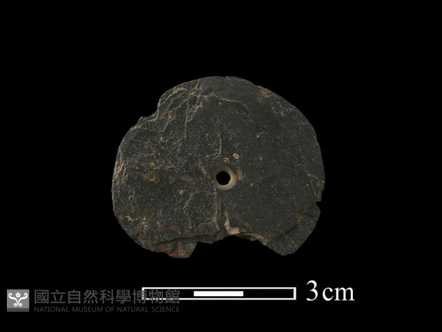 圓板形石器藏品圖，第2張