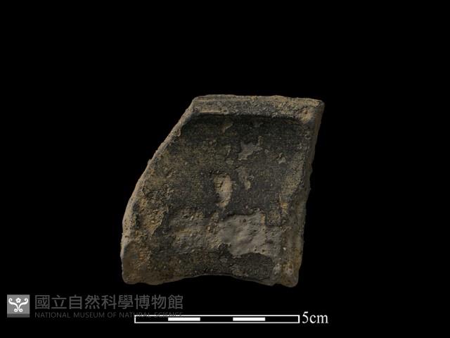 陶片藏品圖，第1張