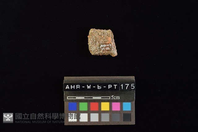 陶片藏品圖，第2張