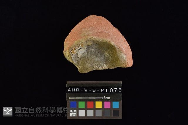 陶片藏品圖，第3張