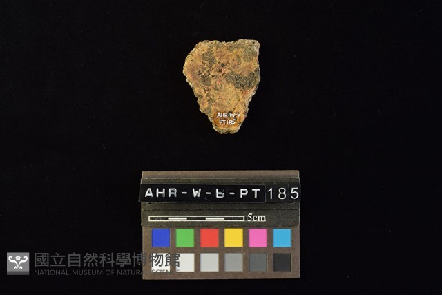 陶片藏品圖，第1張