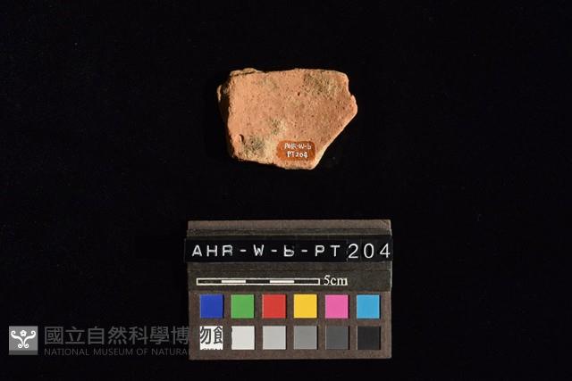 陶片藏品圖，第3張