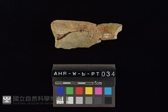 陶罐藏品圖，第2張