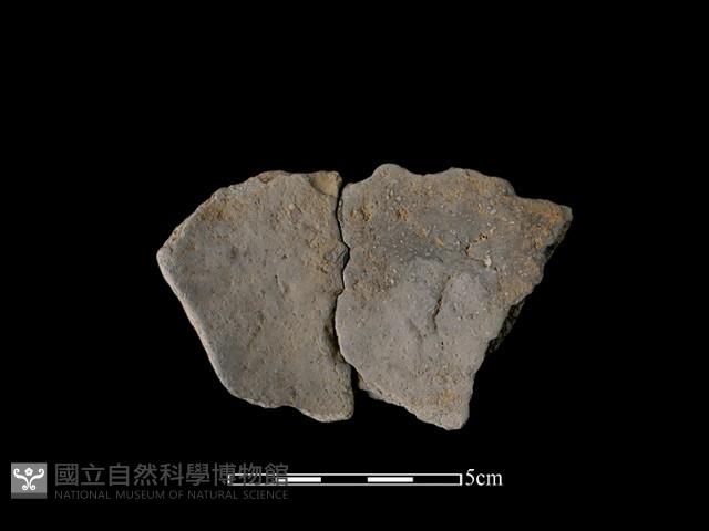 陶片藏品圖，第1張