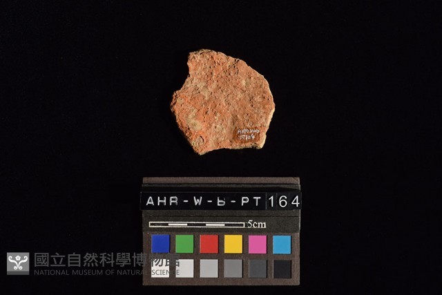 陶片藏品圖，第1張