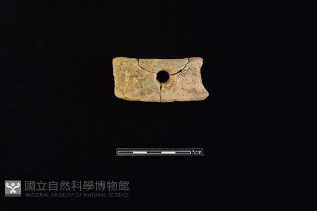 陶片藏品圖，第1張