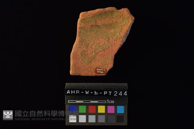 陶片藏品圖，第2張